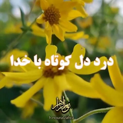 دل‌نوشته ۷